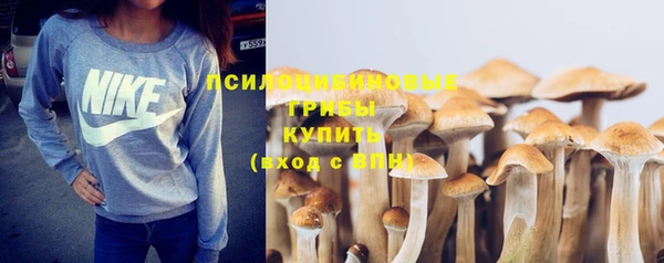 не бодяженный Мегион