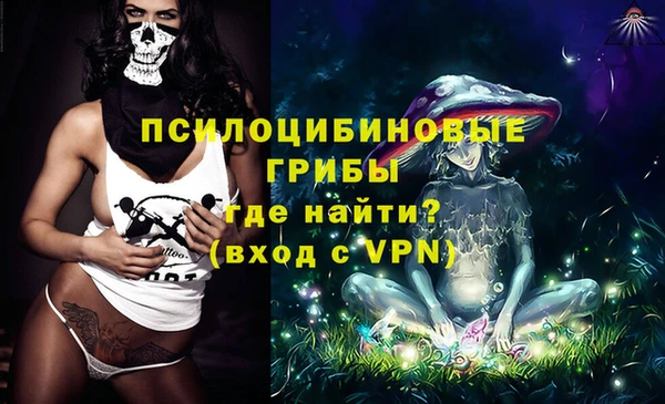 экстази Медвежьегорск